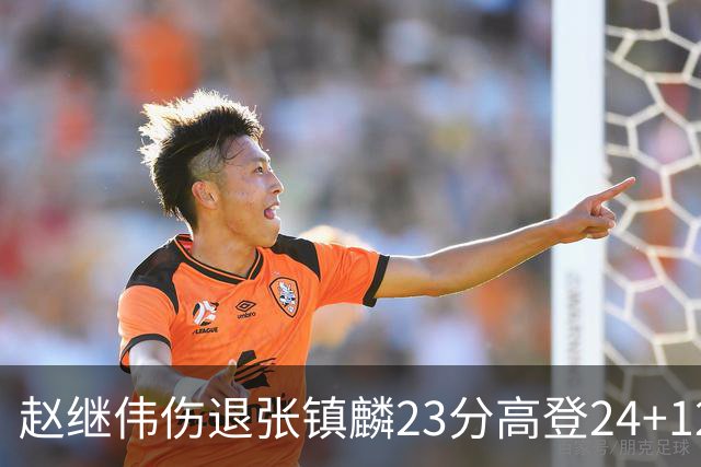 赵继伟伤退张镇麟23分高登24+12 辽宁大胜四川